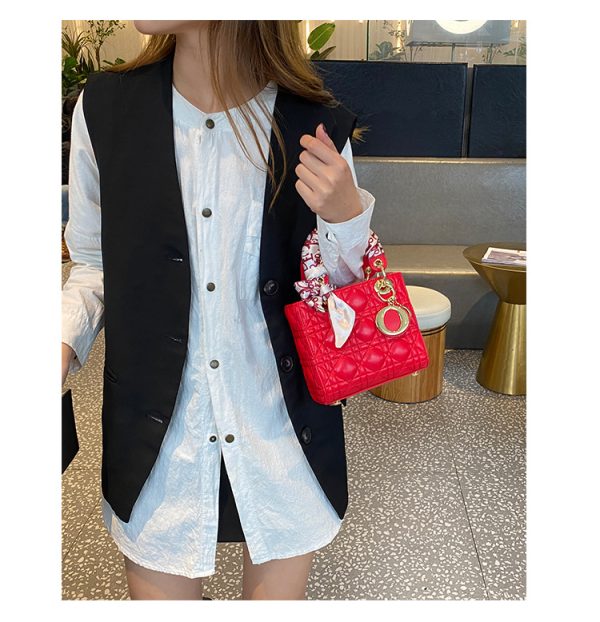 Lacquer leather Daifei bag - 图片 25