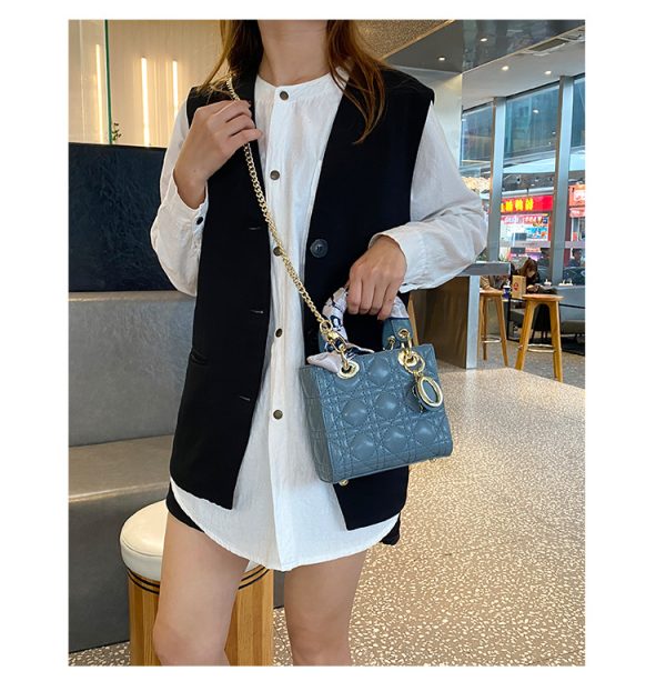 Lacquer leather Daifei bag - 图片 15